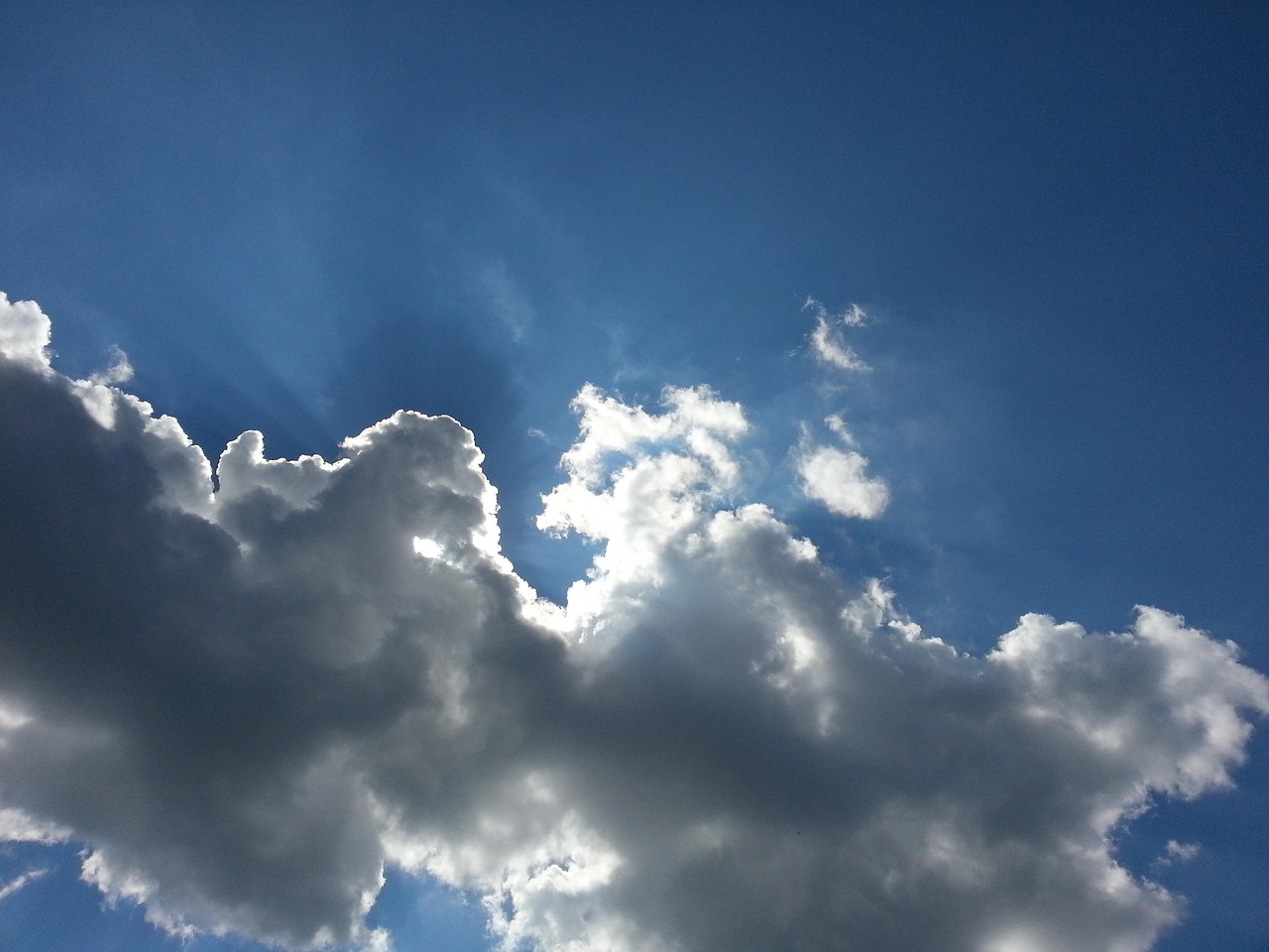 瓯海干部任免最新动态